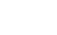 Central Hotel Dulbin
